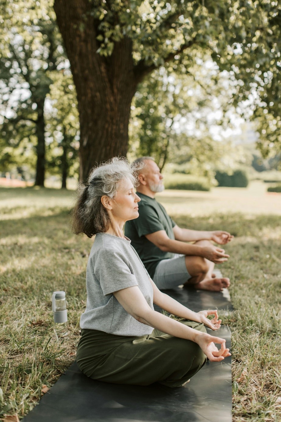 A group of people meditating under a tree